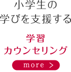 小学生の学びを支援する　学習カウンセリング