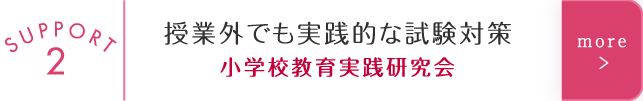 授業外でも実践的な試験対策　小学校教育