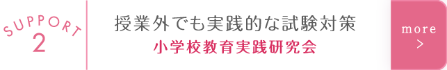 授業外でも実践的な試験対策　小学校教育