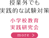 授業外でも実践的な試験対策　小学校教育