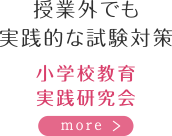 授業外でも実践的な試験対策　小学校教育