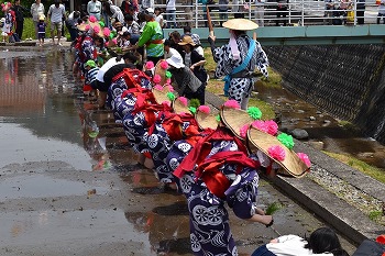 花田植１－２.jpg