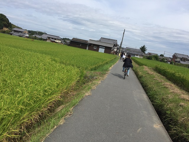 9月11日　飛鳥寺付近-r.jpg