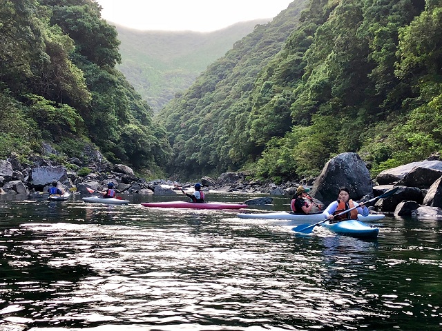 yakushimafieldwork2018-6.jpg