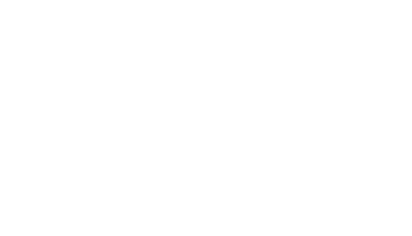 YIC