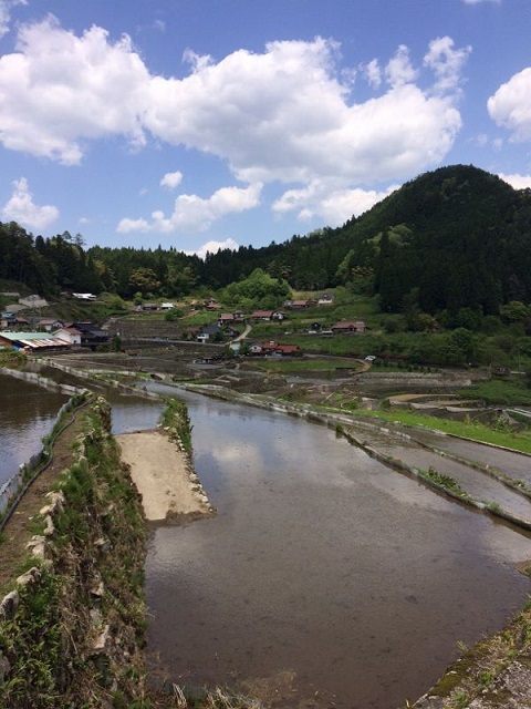 20180504tanadaue9.jpg